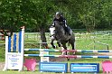 005M6422_Cobelix_Springpferde L